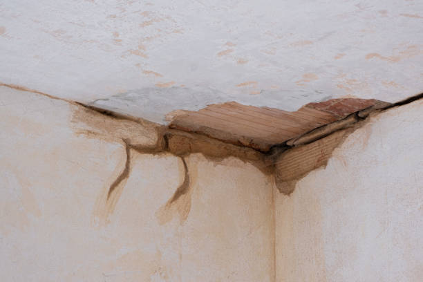 Best Carpet water damage restoration  in Vernon, TX