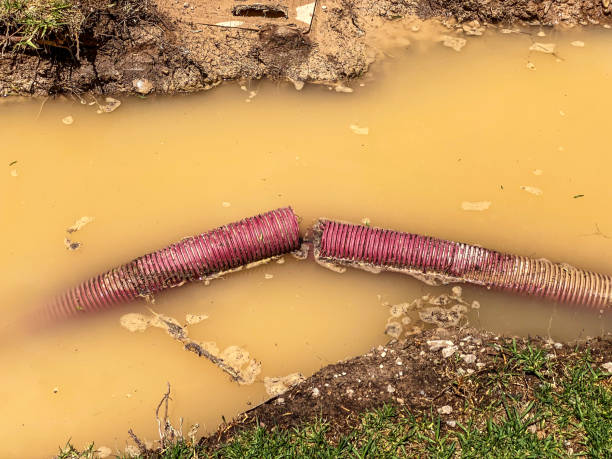 Best 24/7 water damage repair  in Vernon, TX
